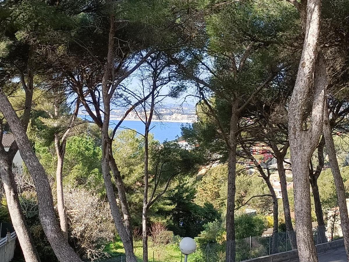 Appartement T2 Sanary Sur Mer ภายนอก รูปภาพ